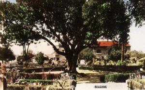Relizane 092- Square D. Riviere